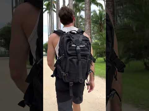 Vue arrière d'un homme portant le sac à dos militaire noir de 38 litres de la marque Militaire Faction lors d'une randonnée. On aperçoit les sangles de compression, le système MOLLE et le patch de la marque sur un sentier bordé de palmiers.