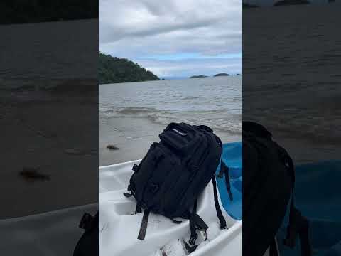 Sac à Dos Militaire Tactique 38L Noir